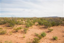 property photo for Sunset Ranches Plat 540 Tract 9, 20 acres for sale in Hudspeth County, Texas