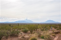 property photo for Sunset Ranches Plat 553 Tract 17, 20 acres for sale in Hudspeth County, Texas