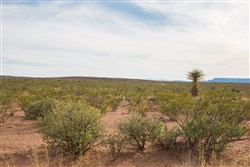 property photo for Sunset Ranches Plat 553 Tract 17, 20 acres for sale in Hudspeth County, Texas