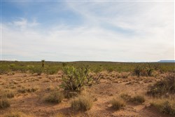 property photo for Sunset Ranches Plat 553 Tract 17, 20 acres for sale in Hudspeth County, Texas