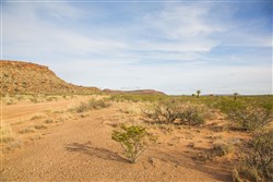 property photo for Sunset Ranches Plat 553 Tract 17, 20 acres for sale in Hudspeth County, Texas