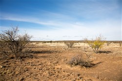 property photo for Sunset Ranches Plat 620 Tract 2, 20 acres for sale in Hudspeth County, Texas