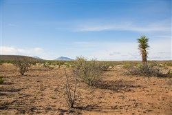 property photo for Sunset Ranches Plat 620 Tract 2, 20 acres for sale in Hudspeth County, Texas
