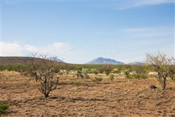property photo for Sunset Ranches Plat 620 Tract 2, 20 acres for sale in Hudspeth County, Texas