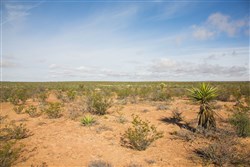 property photo for Sunset Ranches Plat 645 Tract 18, 20 acres for sale in Hudspeth County, Texas