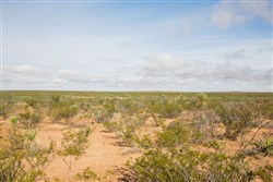 property photo for Sunset Ranches Plat 645 Tract 18, 20 acres for sale in Hudspeth County, Texas