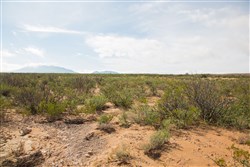 property photo for Sunset Ranches Plat 645 Tract 9, 20 acres for sale in Hudspeth County, Texas