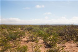 property photo for Sunset Ranches Plat 645 Tract 9, 20 acres for sale in Hudspeth County, Texas