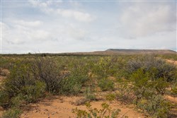 property photo for Sunset Ranches Plat 645 Tract 9, 20 acres for sale in Hudspeth County, Texas