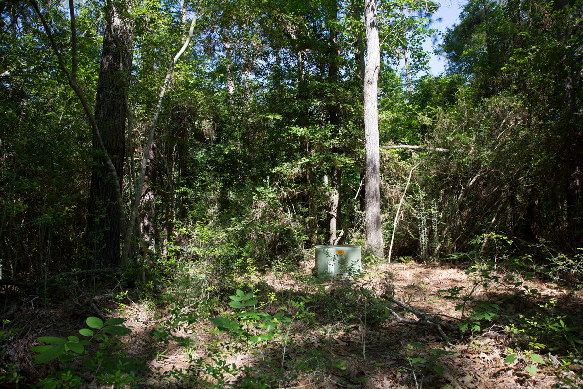 Tract 204 at Rayburn Country in Jasper County, Texas
