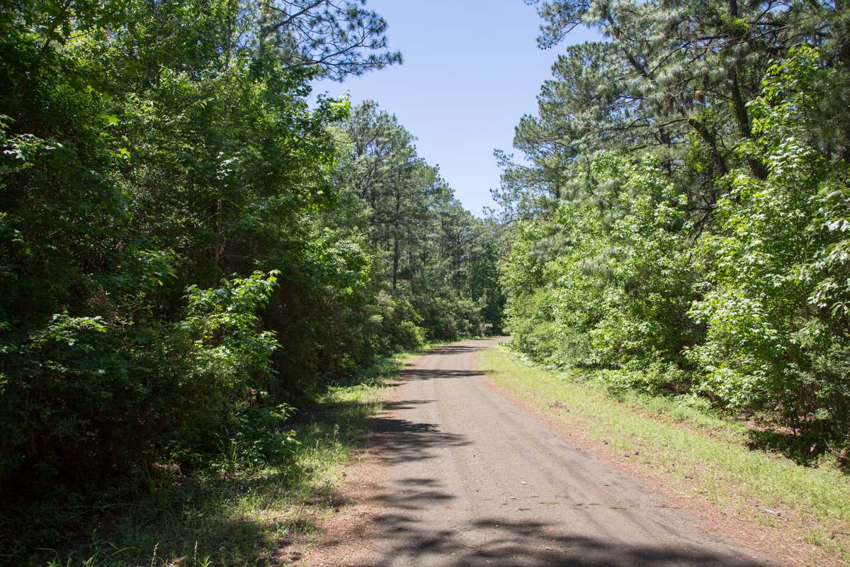 Tract 22 at Rayburn Country in Jasper County, Texas