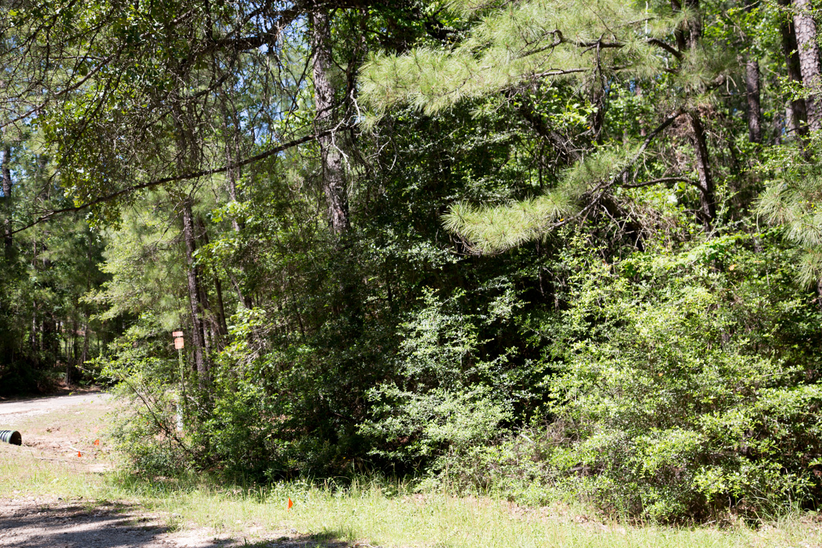 Tract 270 at Rayburn Country in Jasper County, Texas