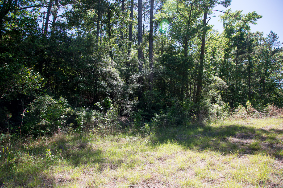Tract 284 at Rayburn Country in Jasper County, Texas