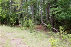 property photo for Rayburn Country Tract 288, 0.55 acres for sale in Jasper County, Texas