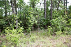property photo for Rayburn Country Tract 288, 0.55 acres for sale in Jasper County, Texas