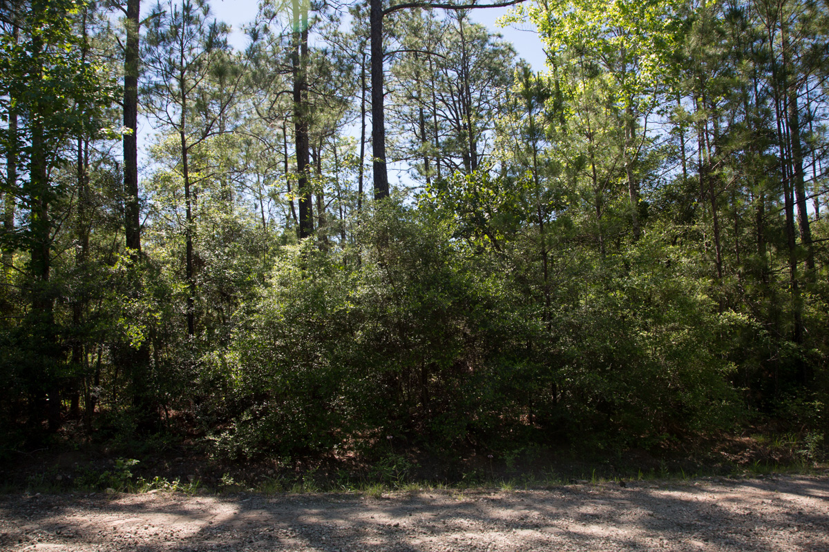 Tract 299 at Rayburn Country in Jasper County, Texas