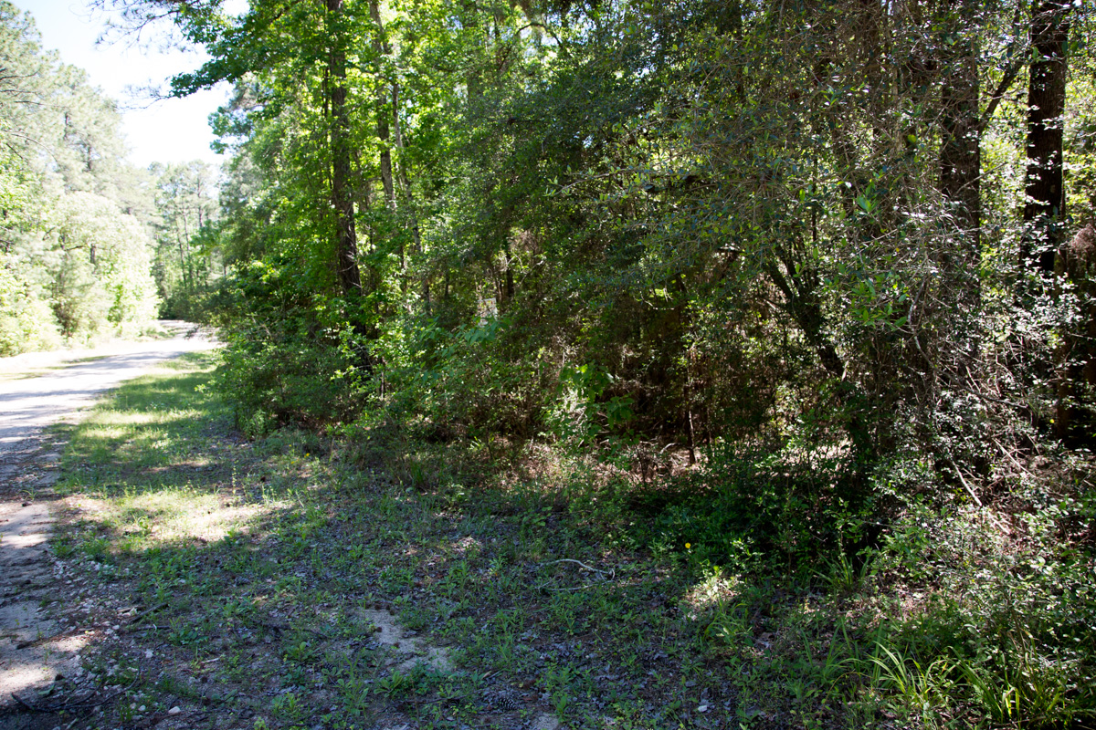 Tract 309 at Rayburn Country in Jasper County, Texas