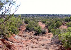 property photo for Red Rock Ranch Tract 13, 21.74 acres for sale in Knox County, Texas