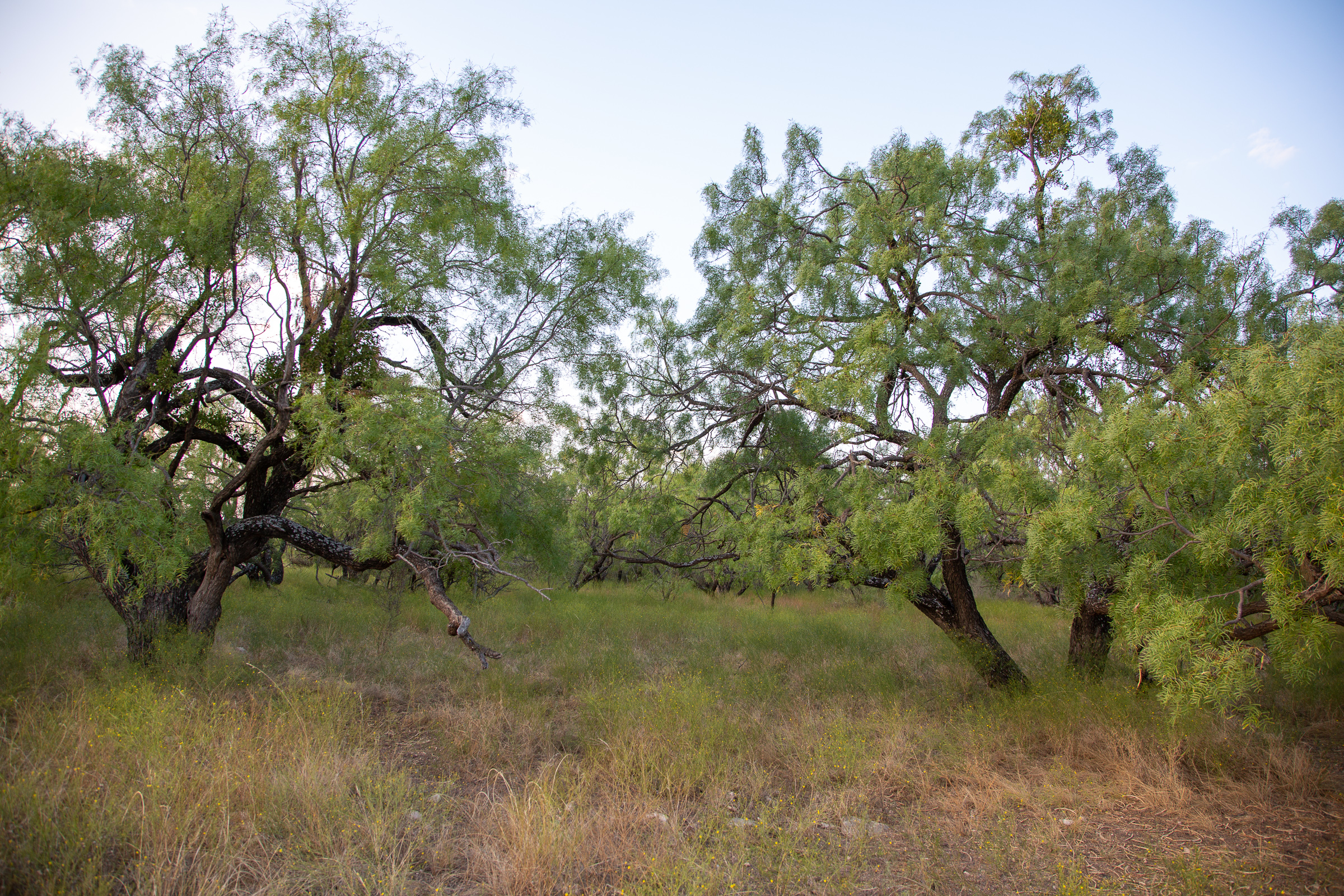Tract 4 at Hunters Ranch in McCulloch County, Texas