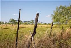 property photo for Hunters Ranch Tract 7, 11.4 acres for sale in McCulloch County, Texas