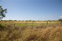 property photo for Hunters Ranch Tract 7, 11.4 acres for sale in McCulloch County, Texas