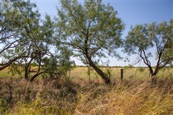 property photo for Hunters Ranch Tract 7, 11.4 acres for sale in McCulloch County, Texas