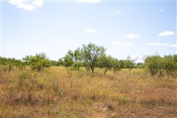 property photo for Hunters Ranch Tract 7, 11.4 acres for sale in McCulloch County, Texas