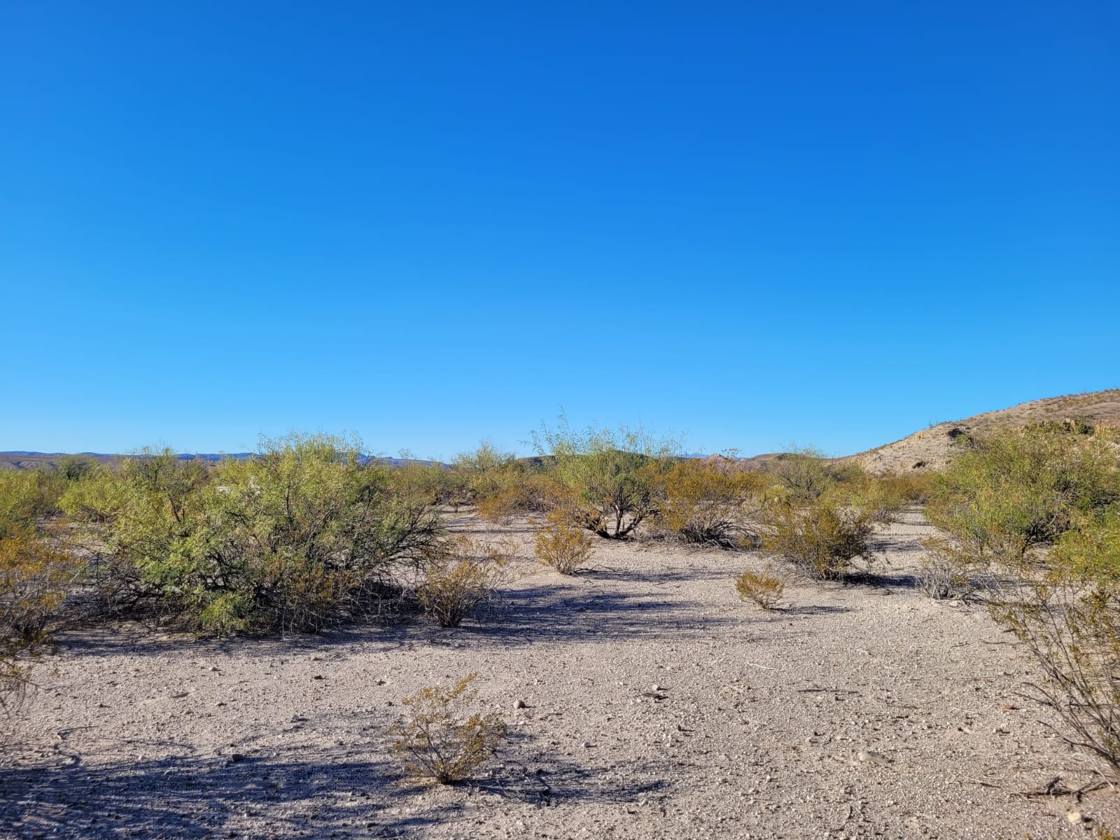 Tract 25 at Vista Linda Canyon in Presidio County, Texas