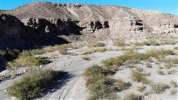 property photo for Vista Linda Canyon Tract 6, 22.05 acres for sale in Presidio County, Texas