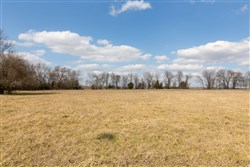 property photo for Wishing Star Ranch Tract 32, 6.49 acres for sale in Red River County, Texas