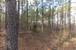 property photo for Wishing Star Ranch Tract 48, 5.33 acres for sale in Red River County, Texas