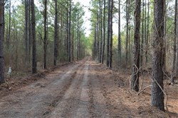 property photo for Wishing Star Ranch Tract 48, 5.33 acres for sale in Red River County, Texas