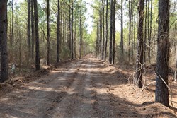 property photo for Wishing Star Ranch Tract 48, 5.33 acres for sale in Red River County, Texas