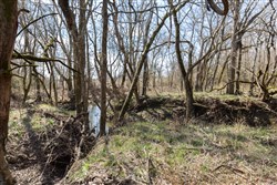 property photo for Wishing Star Ranch Tract 64, 6.78 acres for sale in Red River County, Texas