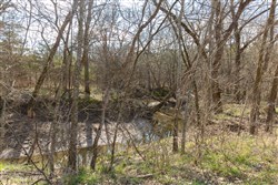 property photo for Wishing Star Ranch Tract 64, 6.78 acres for sale in Red River County, Texas